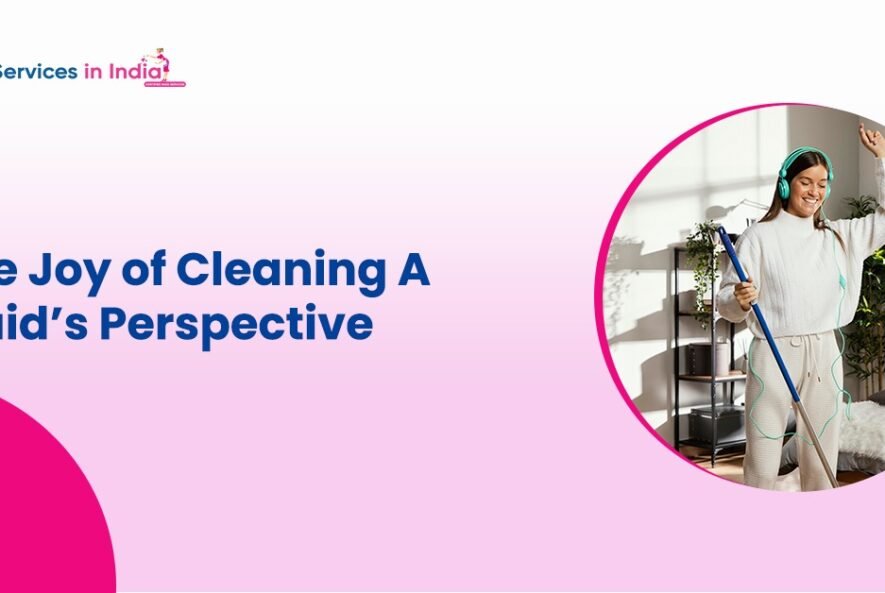 The Joy of Cleaning A Maid's Perspective